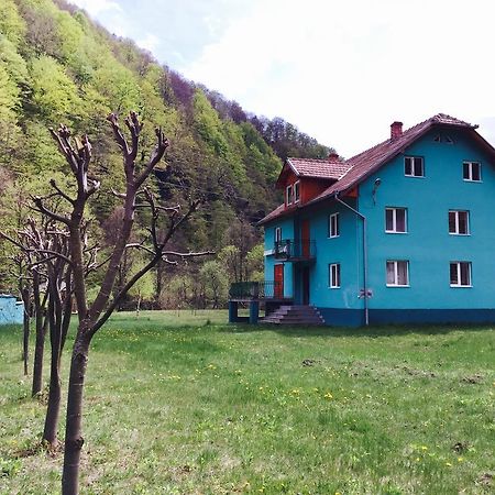 Casa Verde Hotell Rîu de Mori Exteriör bild