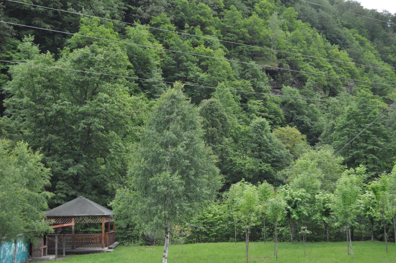 Casa Verde Hotell Rîu de Mori Exteriör bild